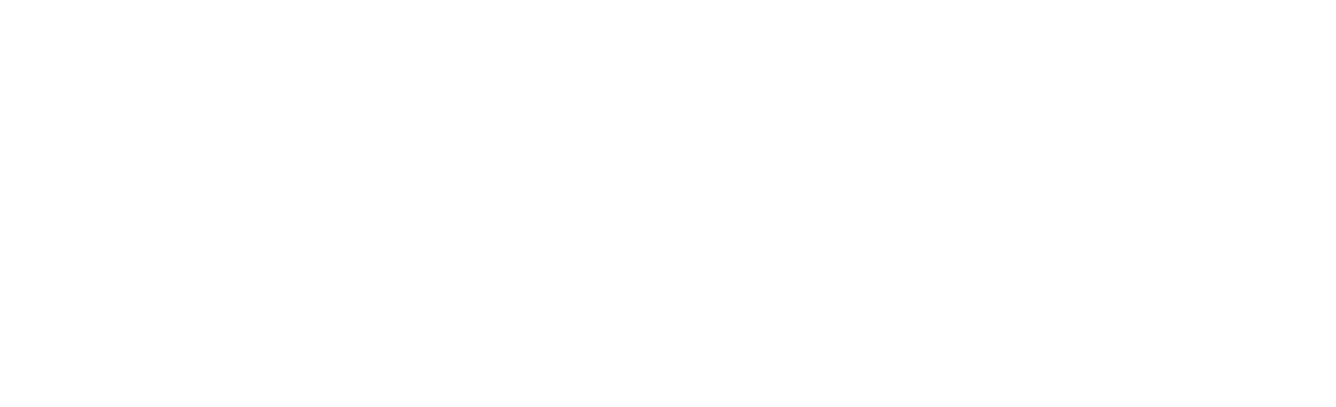 Bulkmatic de México